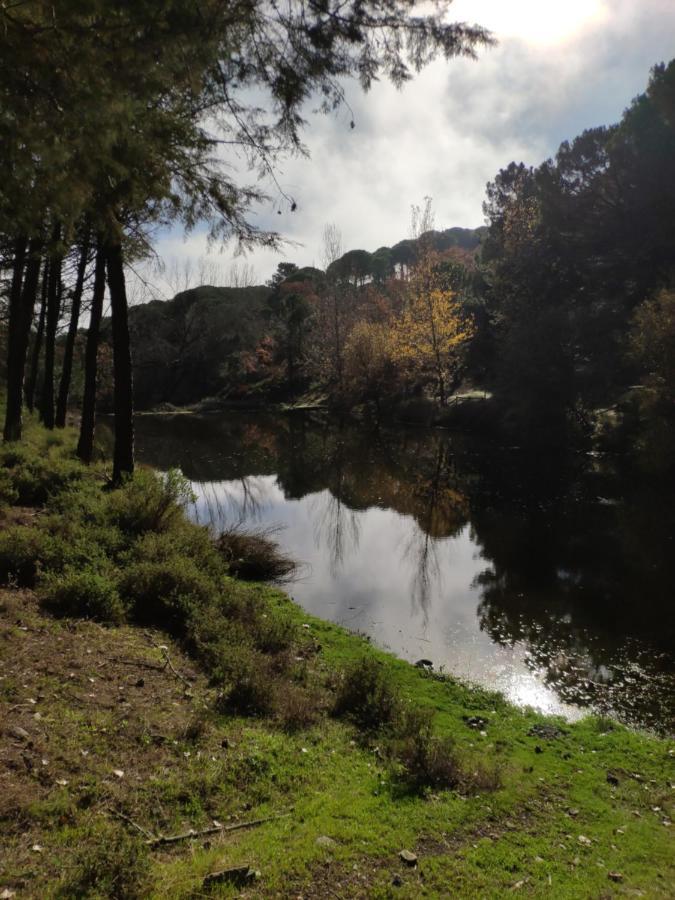 Casa Rural El Trepador Azul Cabeza la Vaca 외부 사진