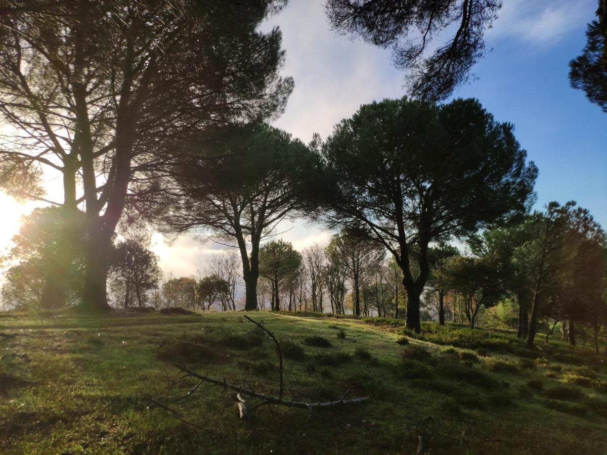 Casa Rural El Trepador Azul Cabeza la Vaca 외부 사진